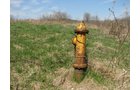 Property photo 43 - 137 Acres in 2 Tracts - 64 Tillable Acres, Potential Building Sites, Hunting